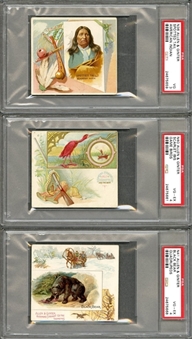 1880s "N"-Tobacco Cards Large Cards PSA-Graded Collection (17 Different)